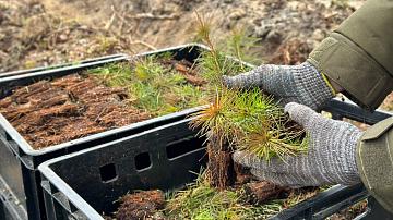 The action "Forest! Good! Order!" was joined by representatives of the Supreme Court of Belarus