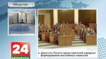 Representatives of House of Deputies to complete formation of standing committees