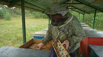 Honey harvesting is underway in Belarus