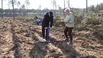 The green marathon continues