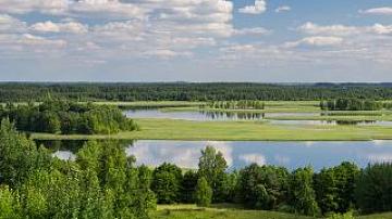 More than 30 thousand tourists visited Belarus visa-free this year