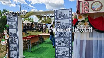 Festival in Alexandria draws over 115,000 visitors