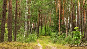 Belarus is developing a new Environmental Code