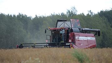 Military personnel help farmers during the harvest