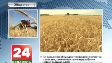 Жодзіна прымае Міжнародны хлебны форум