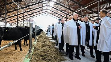 А. Лукашенко: В Беларуси спасли сельское хозяйство, но надо двигаться дальше