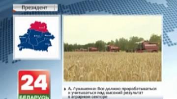 President of Belarus requires to clearly define specialization of agricultural production in each district of Vitebsk region