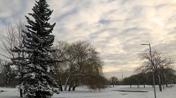 Severe frosts have replaced snowfall in Belarus