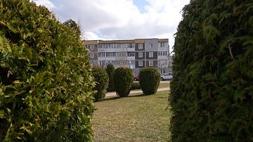 90 Seconds News 11:00