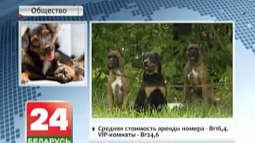 Першая гасцініца для жывёл адкрылася ў Мінску