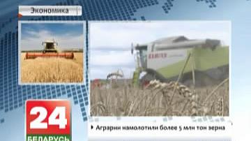 Аграрыі намалацілі больш як 5 млн. тон збожжа