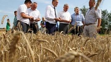 Ход уборочной кампании в центре внимания