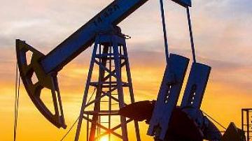 В Беларуси открыты два месторождения нефти