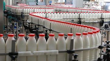 Беларусь — лидер в производстве основных видов продовольственной продукции среди стран ЕАЭС