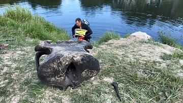 В Ветковском районе нашли останки мамонта