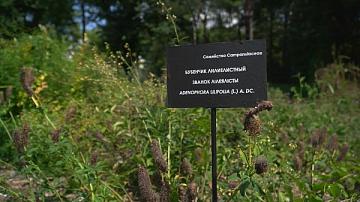 В Минске можно посетить экспозицию редких растений