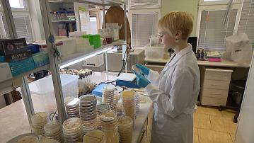 Belarus and Russia plan to implement joint projects in the field of breeding and seed production