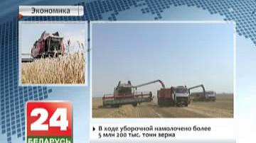 У Беларусі намалочана больш як 5 млн 200 тыс тон збожжа