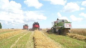 Более 86% комбайнов на белорусских полях — отечественные