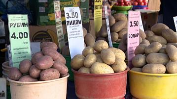 Stocks of fruit and vegetable products will increase this year