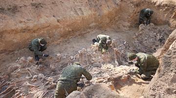 A mass grave from the Great Patriotic War was discovered in Vitebsk region