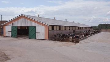 Efficiency of livestock discussed in Mogilev Oblast