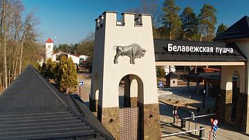 In the National park "Belovezhskaya Pushcha" zubr were counted