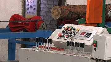 As part of the "One district — One project" initiative a wood processing plant has been opened in Gomel Oblast