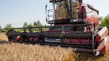 Belarusian agrarians wrap up harvesting