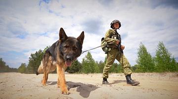 28 May is Border Guard Day in Belarus