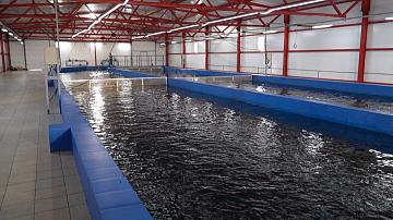 A rainbow trout farming complex in the Stolbtsy district is a new project of the Belarusian National Biotechnology Corporation (BNBC)
