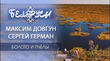 БОЛОТО и ПЧЕЛА тесно связаны друг с другом! Уникальная экосистема Беларуси