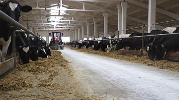 По итогам 2025 года Беларусь рассчитывает получить не менее $9 млрд от экспорта продовольствия