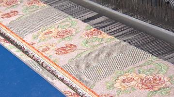A new flax variety "Accent" has appeared in Belarus