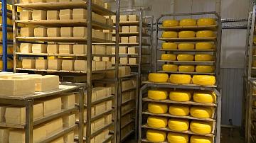 Беларусь входит в ТОП-5 экспортёров молочной продукции