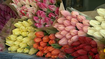 90 секунд 16:00