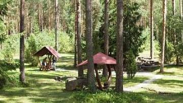 В Беларуси 16 санаториям присвоена высшая категория