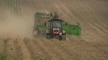 В Беларуси собирают урожай второго хлеба 