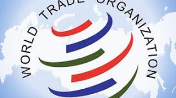 International dialogue between Belarus and the WTO