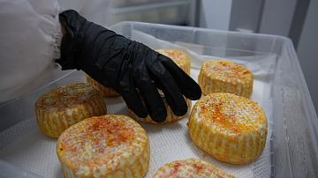 Выпуск итальянских и французских сыров освоили на семейном предприятии под Молодечно