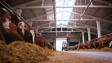 Belarus produces almost 3 times more dairy products than the domestic market consumes