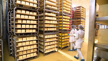 Беларусь увеличила экспорт продуктов питания в Казахстан