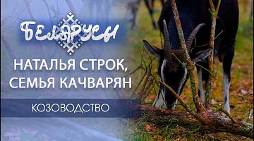 ТАЙНАЯ ЖИЗНЬ коз и секреты сырных мастеров