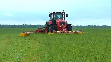 Mass mowing is underway in Belarusian farms