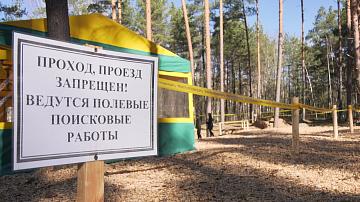 Увеличился список деревень, уничтоженных в годы Великой Отечественной войны