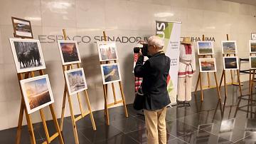 Выставка белорусских фотографов в Бразилии