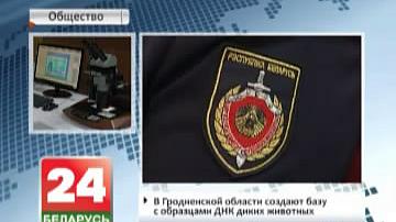 У Гродзенскай вобласці ствараюць базу з узорамі ДНК дзікіх жывёл