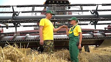  Youth crews are working during the harvest season alongside experienced farmers