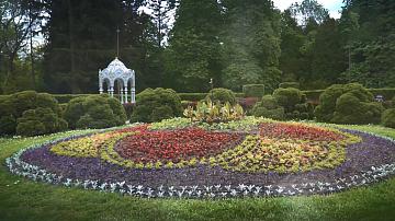 Ботанический сад приглашает на выставку «Дыхание весны»