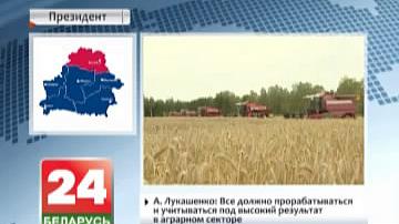 Прэзідэнт Беларусі патрабуе дакладна вызначыцца са спецыялізацыяй выпуску сельгаспрадукцыі ў кожным раёне Віцебскай вобласці
